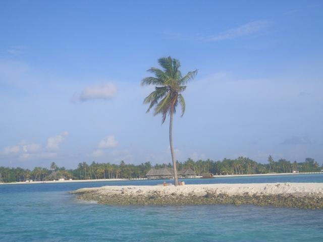Maldive 152a.jpg